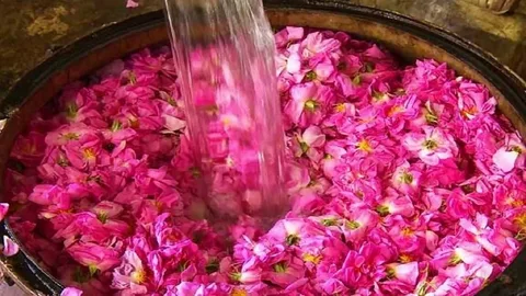 تصویر 3 از خرید عرق گیاهی گلاب + بهترین قیمت